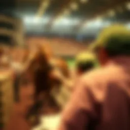 Betting at the Belmont Stakes Introduction