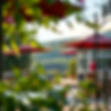 Charming outdoor amenities of Empire Resorts highlighting nature's beauty