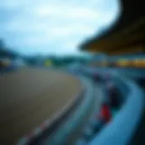 A panoramic view of a famous New York racetrack during a race event