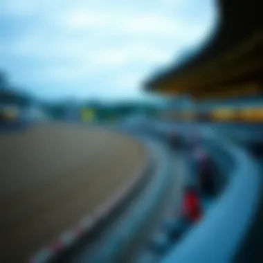 Famous New York Racetrack A panoramic view of a famous New York racetrack during a race event
