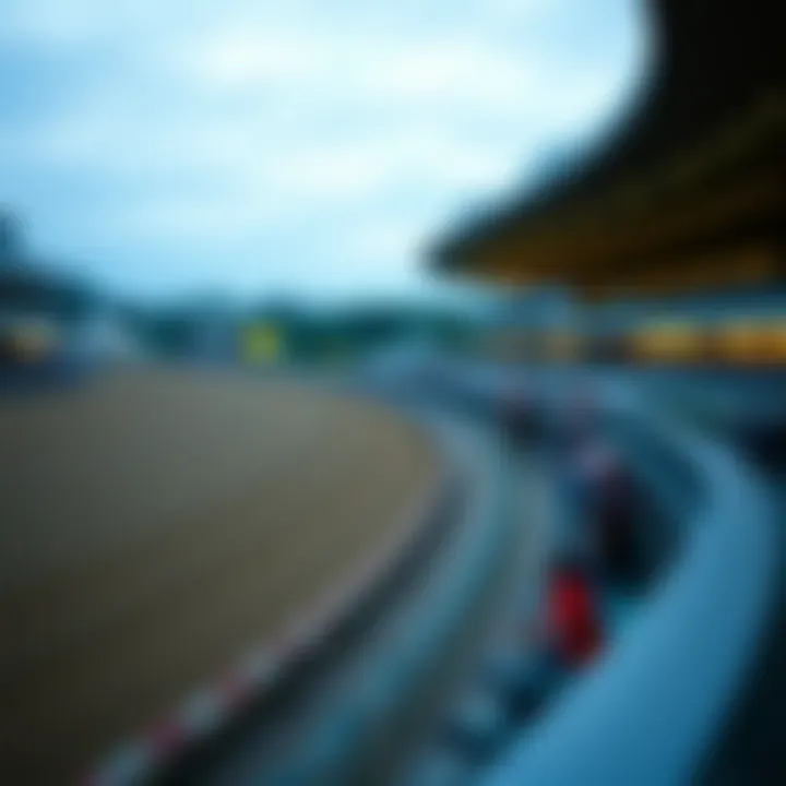 Famous New York Racetrack A panoramic view of a famous New York racetrack during a race event