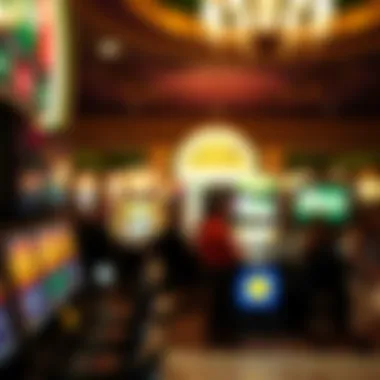 Exploring the Washington DC Lottery: Insights and Implications Summary
