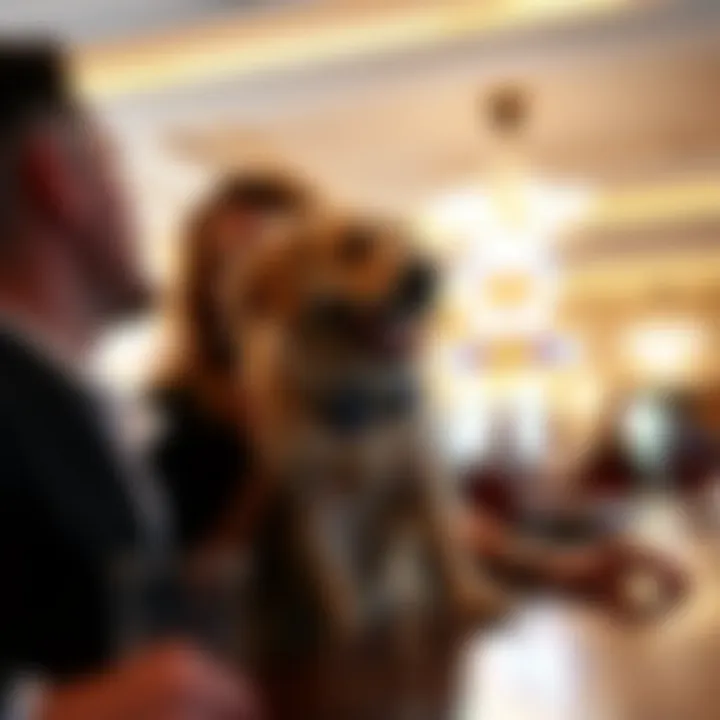 Guest and pet enjoying leisure time together