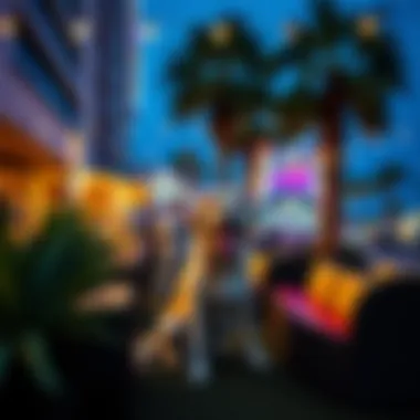 Outdoor area for pets at a hotel